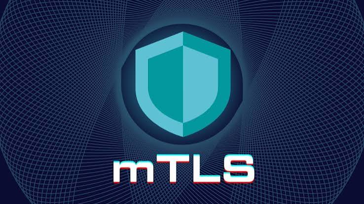mTLS CookBook With Caddy image